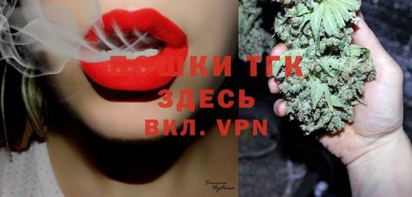 ECSTASY Богородск