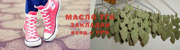 молекула духа Богданович
