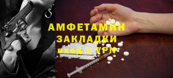 молекула духа Богданович
