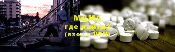 молекула духа Богданович