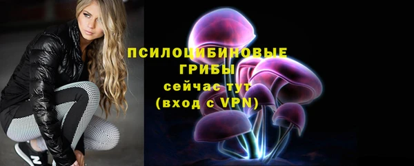 ECSTASY Богородск