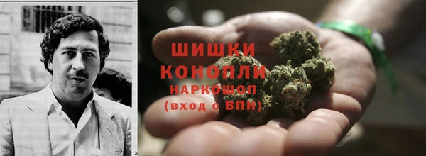 молекула духа Богданович