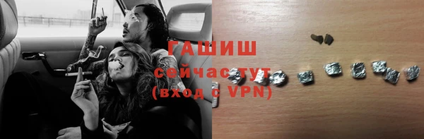 молекула духа Богданович