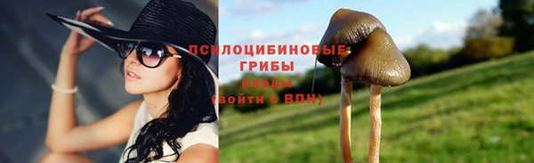 молекула духа Богданович