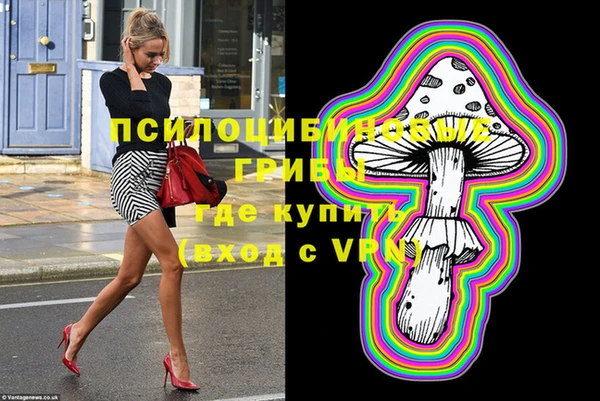 ECSTASY Богородск