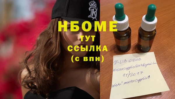 молекула духа Богданович