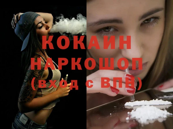 молекула духа Богданович